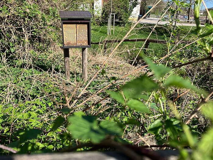 Blick auf Insektenhotel im Wilden Eck